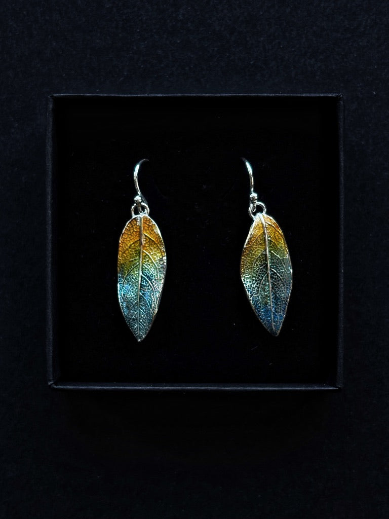 Colourful sage earrings - Medium