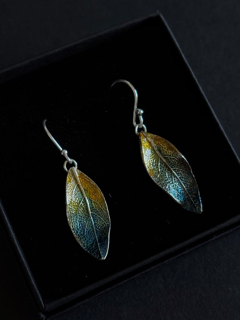 Colourful sage earrings - Medium