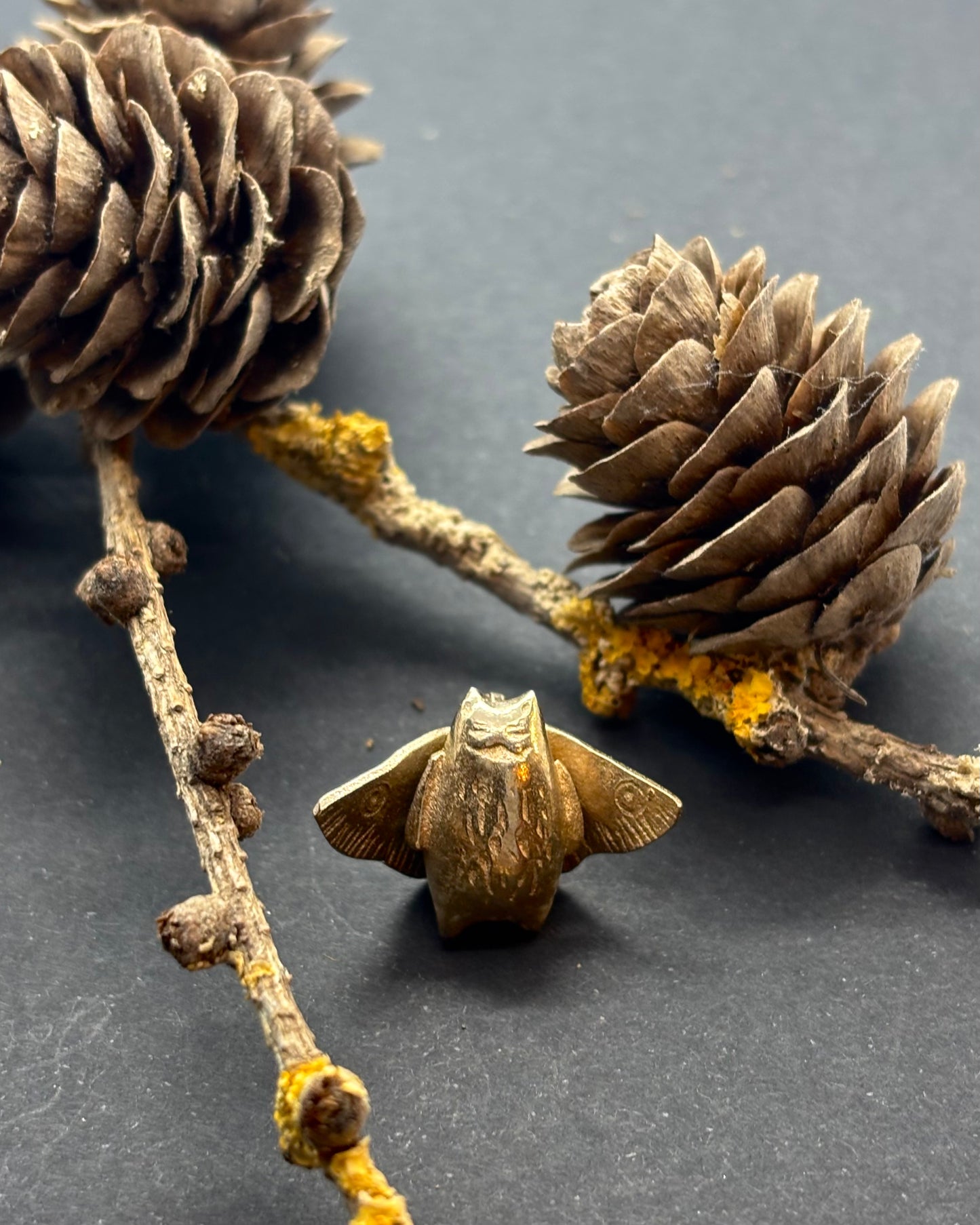 Bronze cat moth figurine on a branch with pine cones against a dark background
