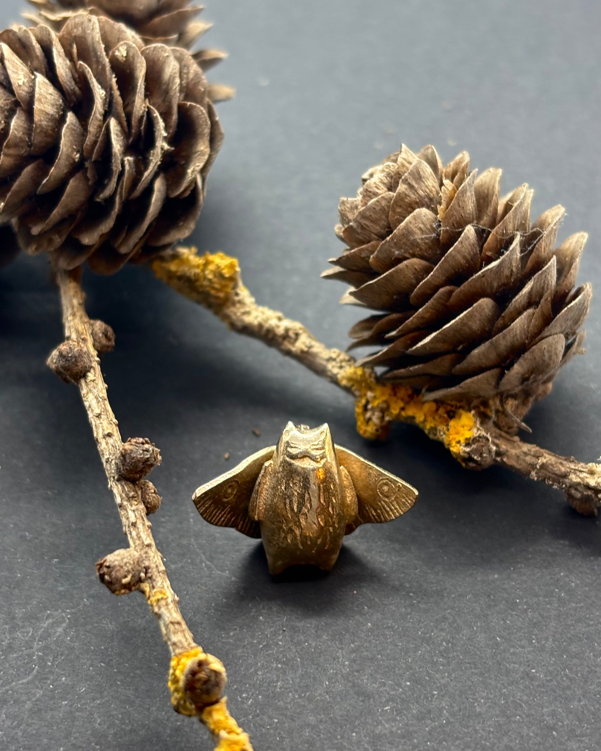 Bronze cat moth figurine on a branch with pine cones against a dark background